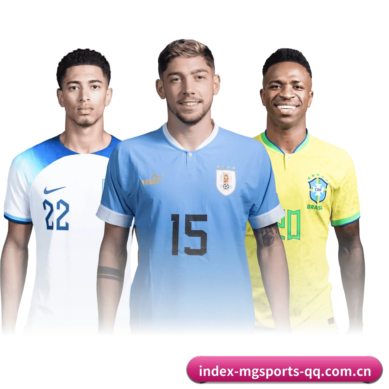满冠体育 APP - mgsports